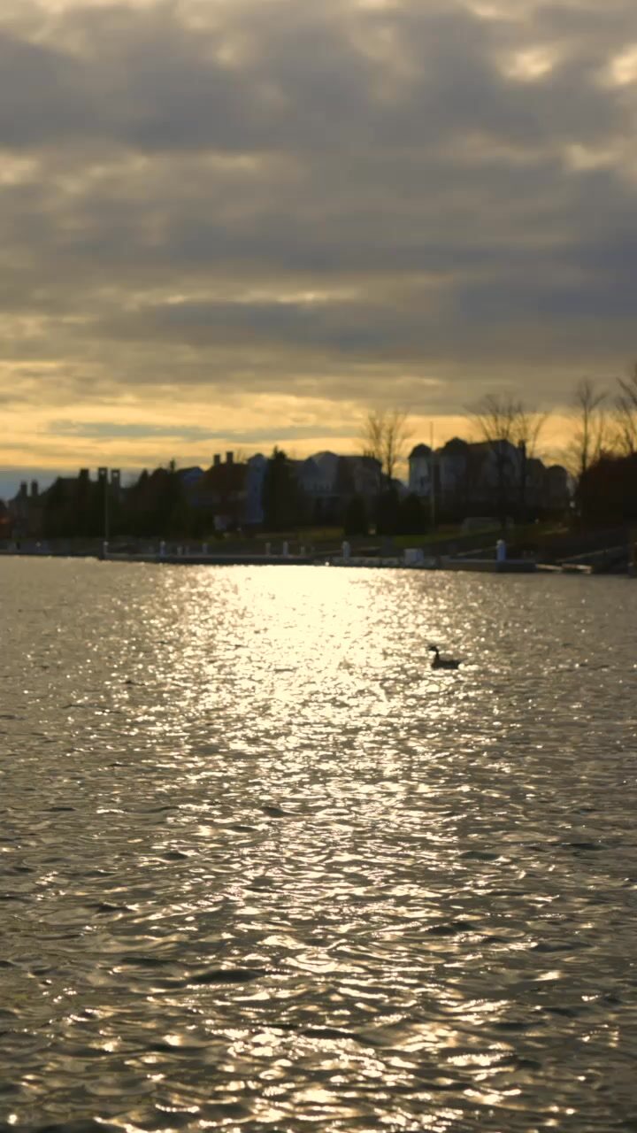 This is what it looks like when design becomes part of everyday life.

Right here in Bay Harbor.

Your home, your space, your story. Made to be lived in.